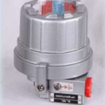 Position Transmitter RMG-HPT2W-EX-2018